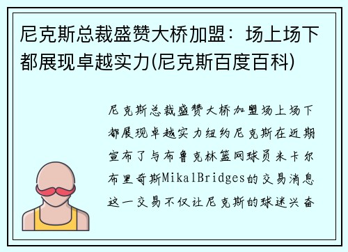 尼克斯总裁盛赞大桥加盟：场上场下都展现卓越实力(尼克斯百度百科)