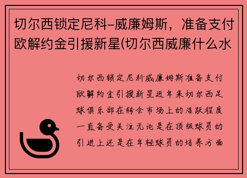 切尔西锁定尼科-威廉姆斯，准备支付欧解约金引援新星(切尔西威廉什么水平)
