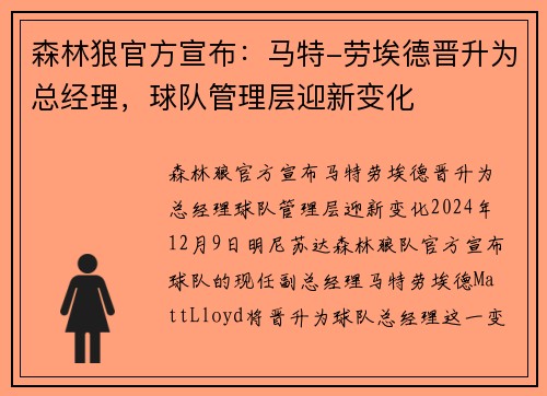 森林狼官方宣布：马特-劳埃德晋升为总经理，球队管理层迎新变化