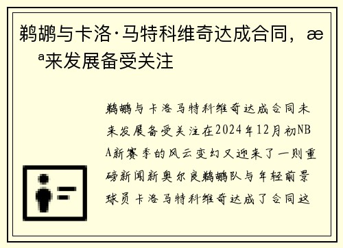 鹈鹕与卡洛·马特科维奇达成合同，未来发展备受关注