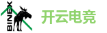 开云电竞
